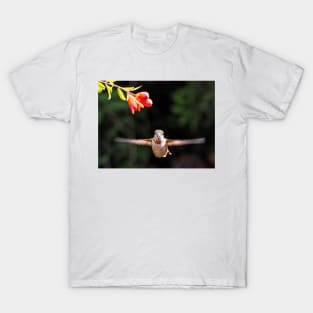 Early Morning Portrait T-Shirt